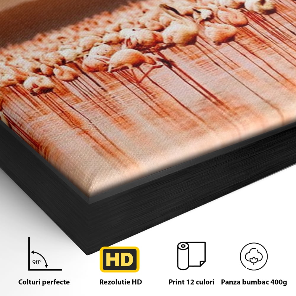 Detaliu al suprafetei: tablou canvas cu stol de flamingo la apus, in rama de aluminiu negru